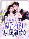 莫依楠陆擎琛